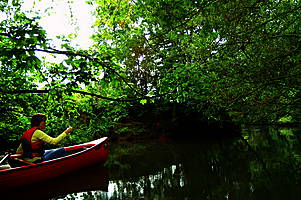 Kanufahrt durch den alten Mhlenkanal