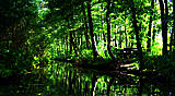 Spree / Berlin-Brandenburg